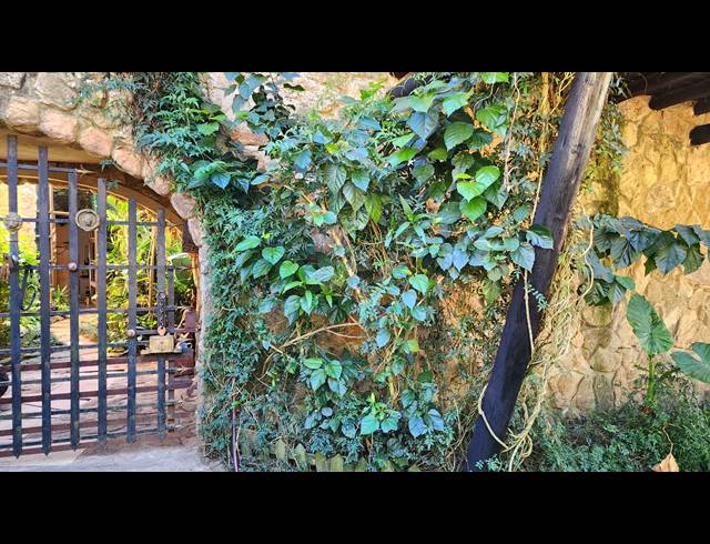 8.60HA SMALLHOLDING FOR SALE IN NELSPRUIT RURAL